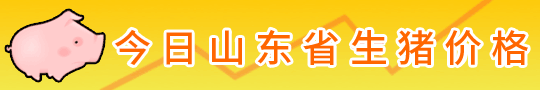 山東生豬報價 今日山東生豬價格